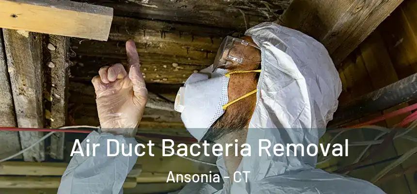 Air Duct Bacteria Removal Ansonia - CT
