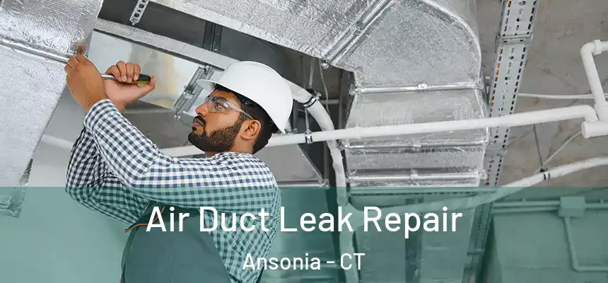  Air Duct Leak Repair Ansonia - CT