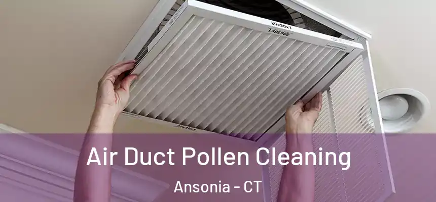  Air Duct Pollen Cleaning Ansonia - CT