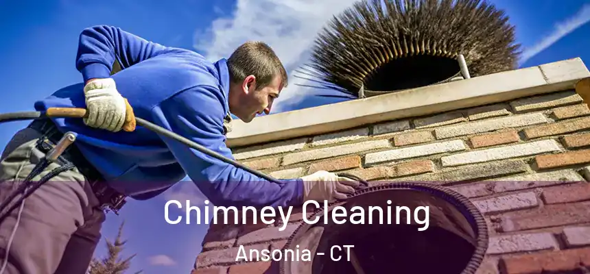  Chimney Cleaning Ansonia - CT
