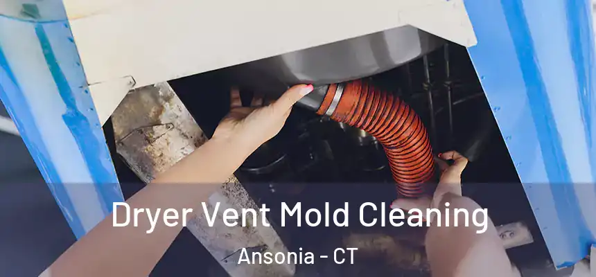  Dryer Vent Mold Cleaning Ansonia - CT