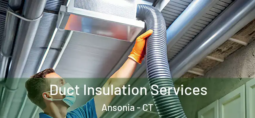  Duct Insulation Services Ansonia - CT