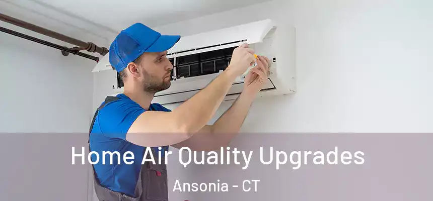  Home Air Quality Upgrades Ansonia - CT