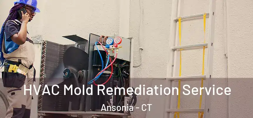  HVAC Mold Remediation Service Ansonia - CT