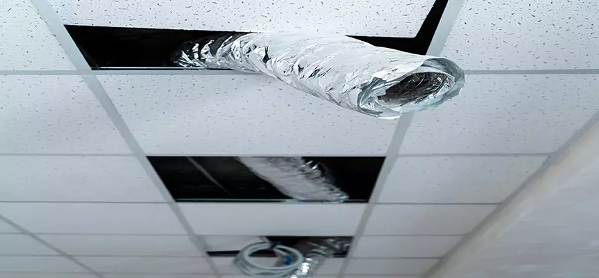 Our Air Duct Pet Hair Removal Services in Ansonia, CT