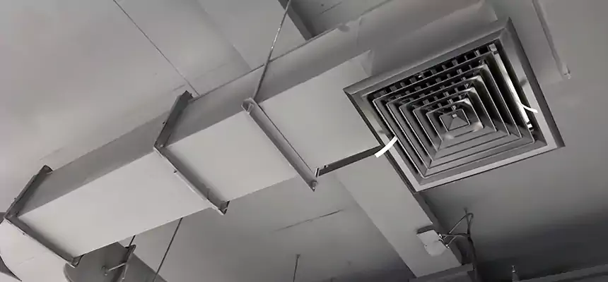 Restorative Allergy Relief Vent Cleaning – Coil, Blower & Housing Detail in Ansonia