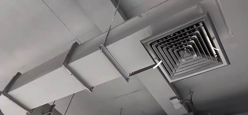 Our Pest Removal From Ducts Services in Ansonia, CT