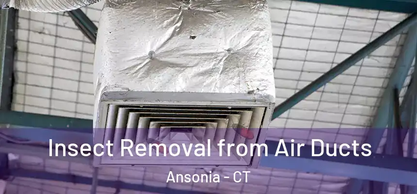 Insect Removal from Air Ducts Ansonia - CT