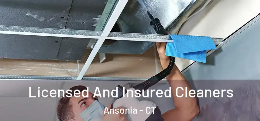  Licensed And Insured Cleaners Ansonia - CT