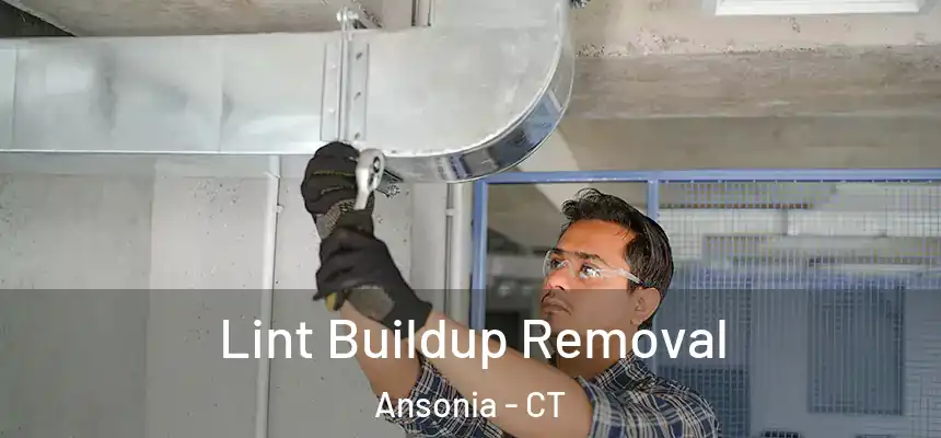  Lint Buildup Removal Ansonia - CT