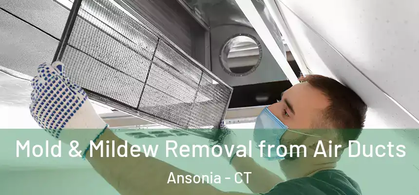 Mold & Mildew Removal from Air Ducts Ansonia - CT