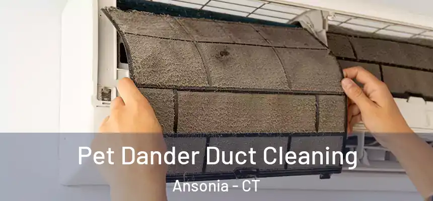 Pet Dander Duct Cleaning Ansonia - CT