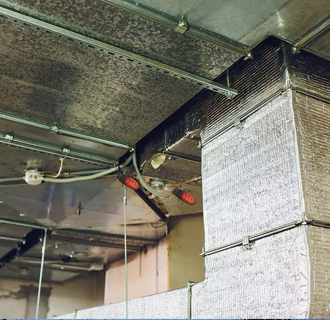 Why Homeowners & Businesses Trust Us Ansonia, CT?