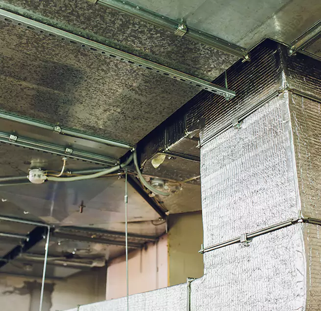 Why Homeowners & Businesses Trust Us in Ansonia, CT?